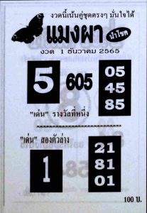 หวยไทย หวยแมงผา1-12-65