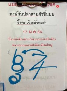 หวยไทย หวยกุมารทองให้โชค 17-1-66
