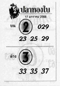 หวยไทย หวยปลาทองใบ 17-1-66