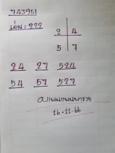หวยแพนแพนพารวย 16-11-66