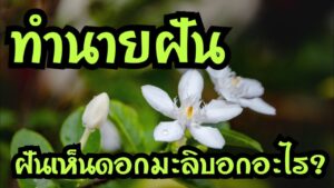 ฝันเห็นดอกมะลิ 2566