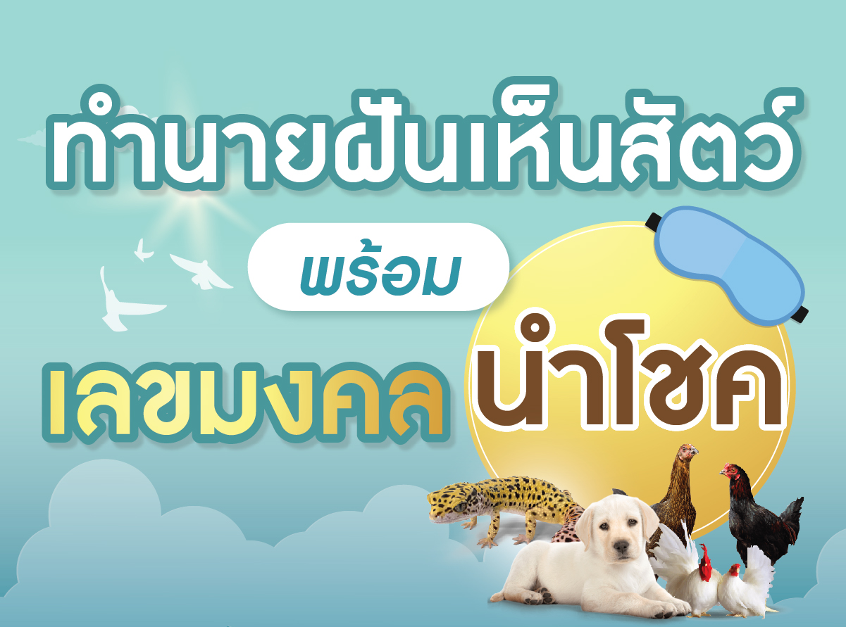 ฝันเห็นสัตว์ 2566