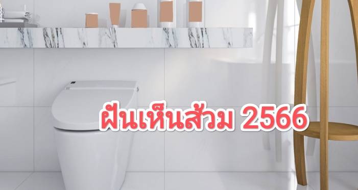 ฝันเห็นส้วม 2566