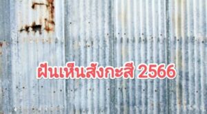 ฝันเห็นสังกะสี 2566