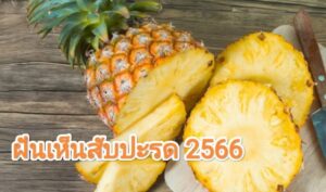 ฝันเห็นสับปะรด 2566