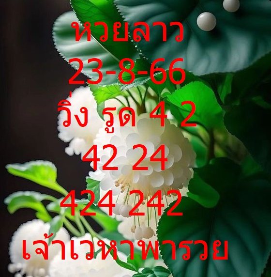 หวยลาว 24-8-66