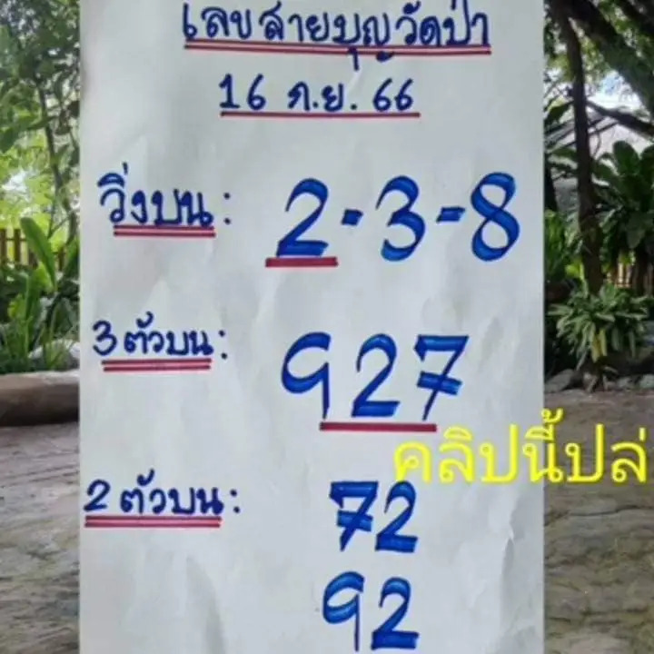 เลขวัดป่า 16-9-66