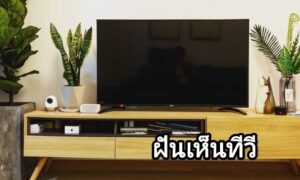 ฝันเห็นทีวี 2566