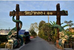 สถานที่ขอหวย วัดป่าคลอง11 2567