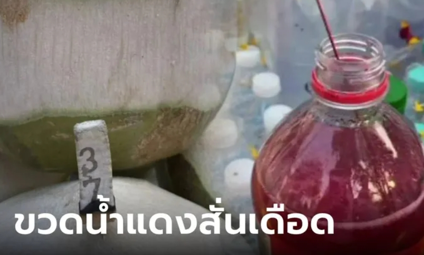 เลขเด็ดหลวงพ่อเพชร 1-2-67