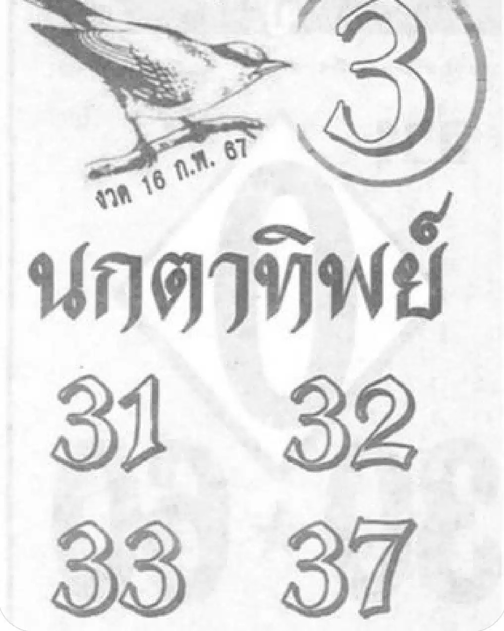 นกตาทิพย์ 16-2-67