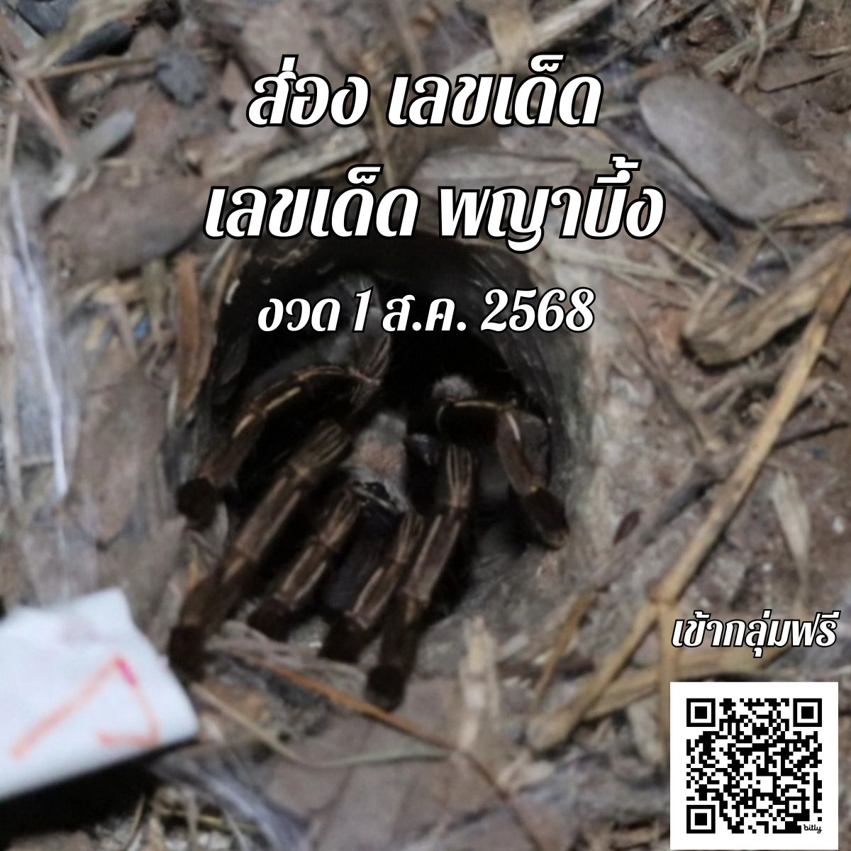 ข่าวหวย เลขเด็ดพญาบึ้ง