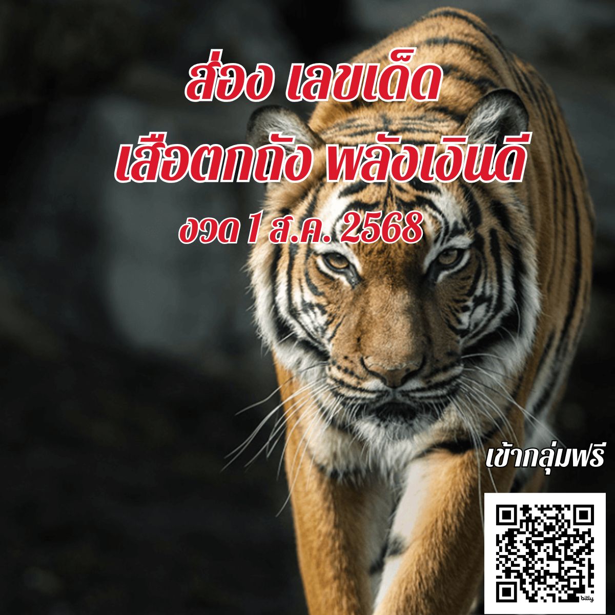ข่าวหวย เลขเสือตกถัง