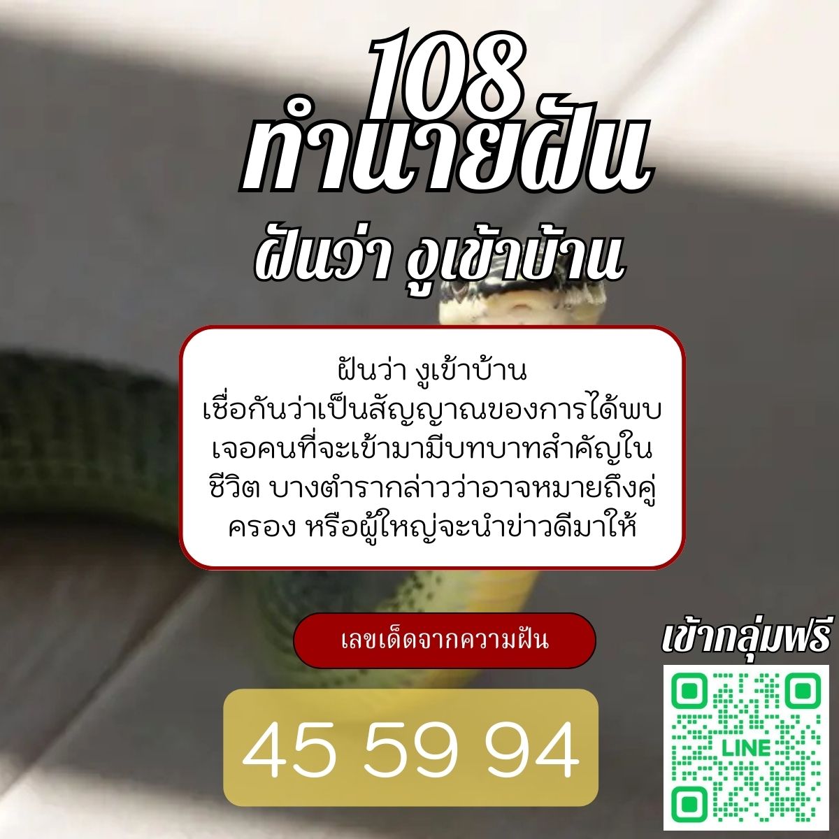 ฝันว่า งูเข้าบ้าน
