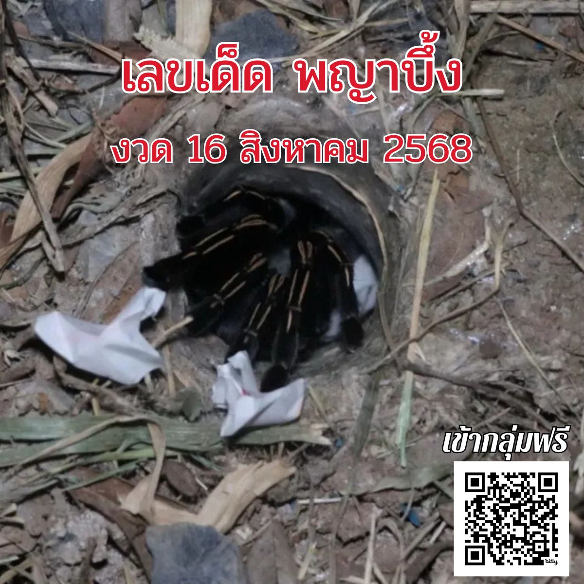 เลขเด็ด พญาบึ้ง
